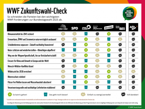 WWF Zukunftswahl-Check zur Bundestagswahl 2025 